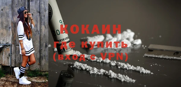 шишки Весьегонск